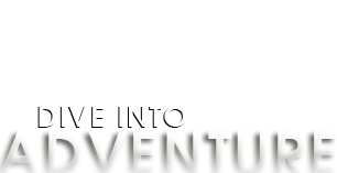 Talladega Helicopter Shuttle